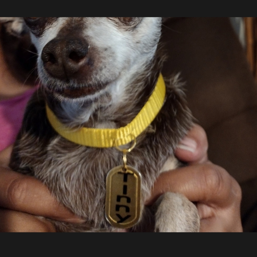 Oval Dog Name Tag